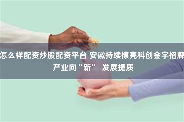 怎么样配资炒股配资平台 安徽持续擦亮科创金字招牌 产业向“新”  发展提质