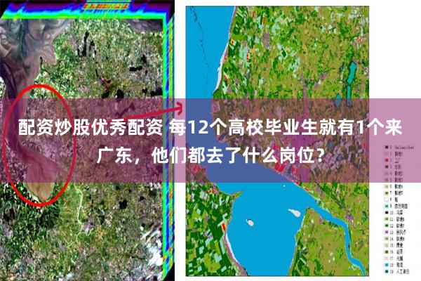 配资炒股优秀配资 每12个高校毕业生就有1个来广东，他们都去了什么岗位？