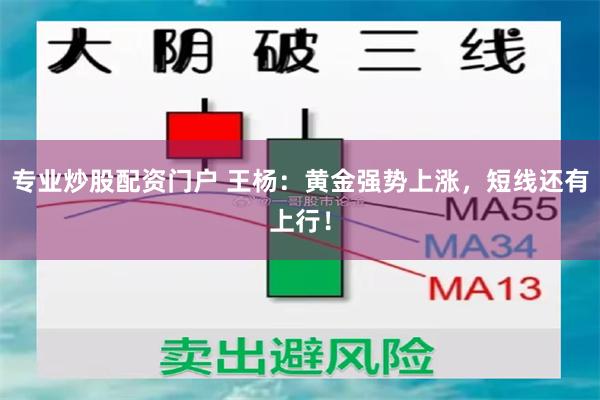 专业炒股配资门户 王杨：黄金强势上涨，短线还有上行！